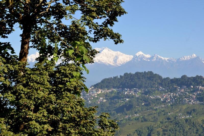 Darjeeling Bnb Zewnętrze zdjęcie